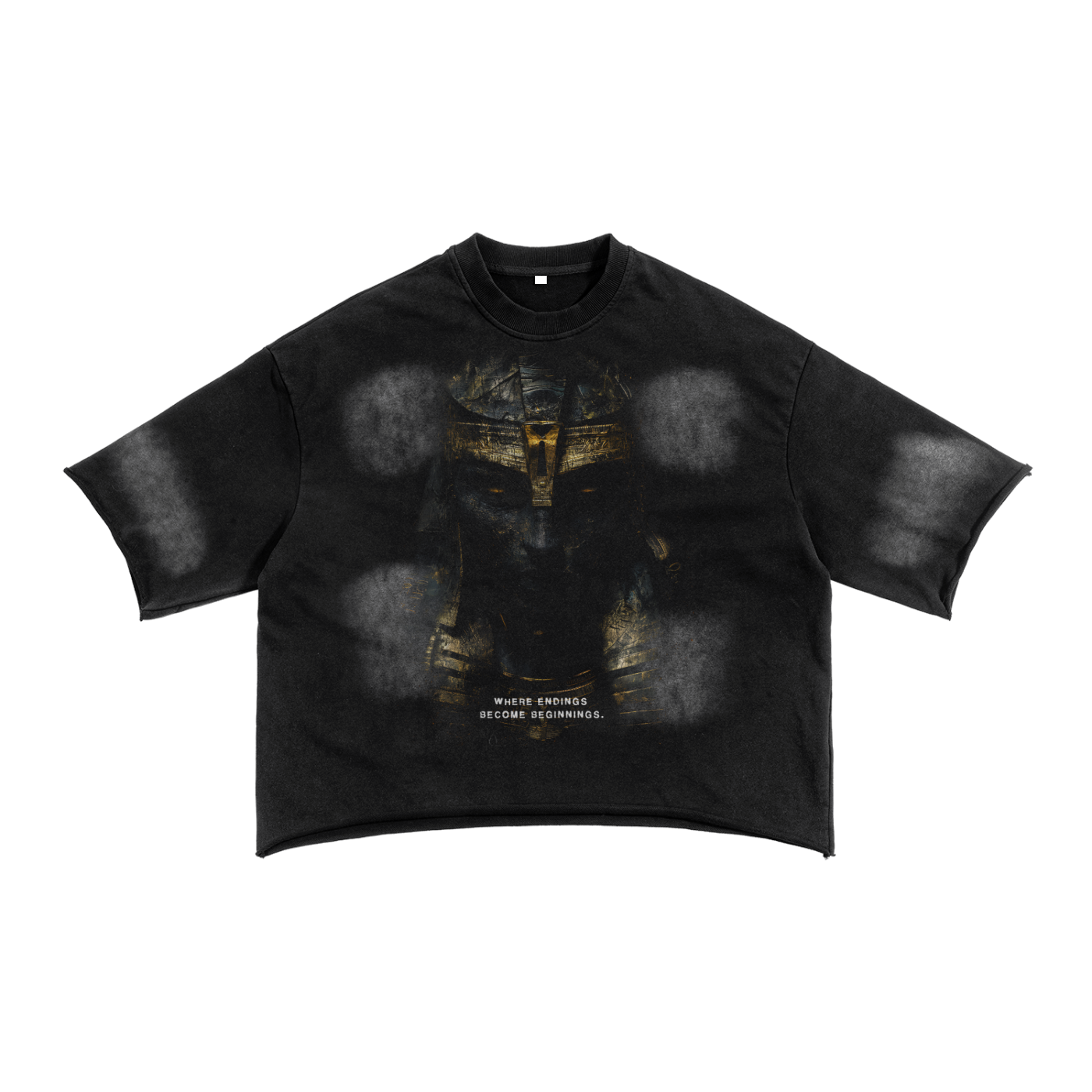 'OSIRIS THE AFTERLIFE' SUNFADED FRENCH TERRY RAW HEM TEE IN BURNT BLACK